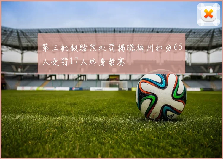 第三批假赌黑处罚揭晓梅州扣分65人受罚17人终身禁赛
