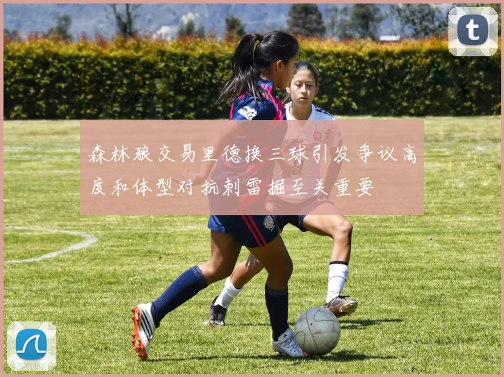 森林狼交易里德换三球引发争议高度和体型对抗刺雷掘至关重要